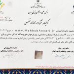 مربیگری شناسایی و پرورش هوش‌های چندگانه کودکان مبتنی بر بازی